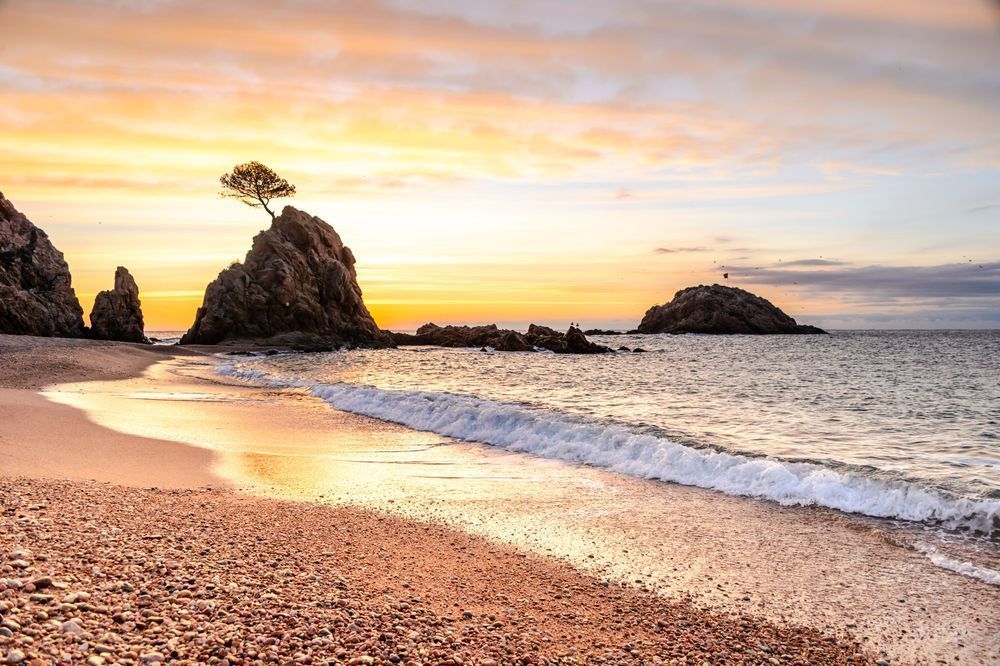 Light Over the Rocks - Scenic shoreline with warm tones and soft reflections
