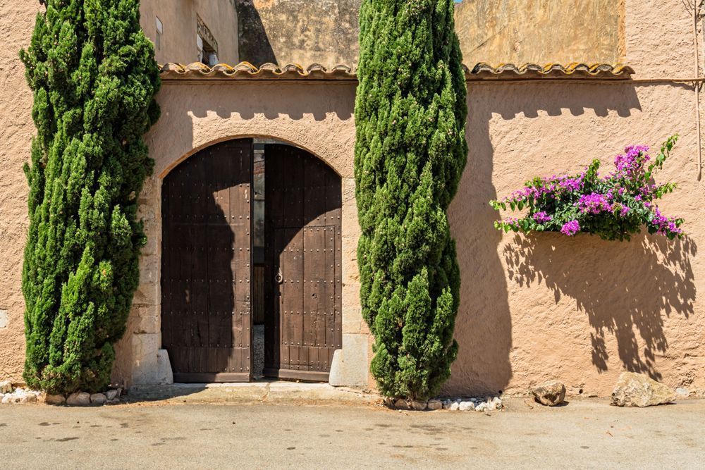 Mediterranean Balance - Harmonious facade blending nature, structure, and light