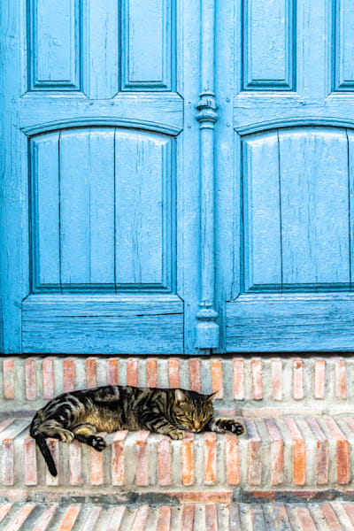 Mediterranean Pause - Decorative image combining texture, color, and rest