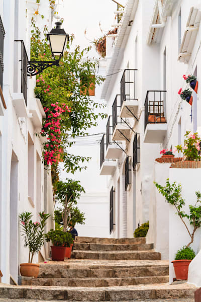 Mediterranean Simplicity - Bright wall art with greenery and soft sunlight