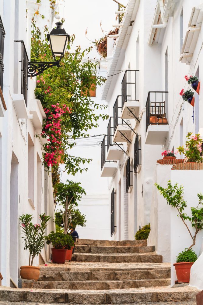 Mediterranean Simplicity - Bright wall art with greenery and soft sunlight