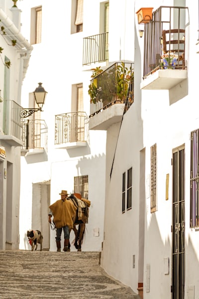 Man, Horse and Dog - Mediterranean village scene with human, animal, and architecture