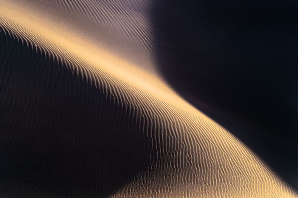 Subtle Form - Decorative image focused on texture and simplicity