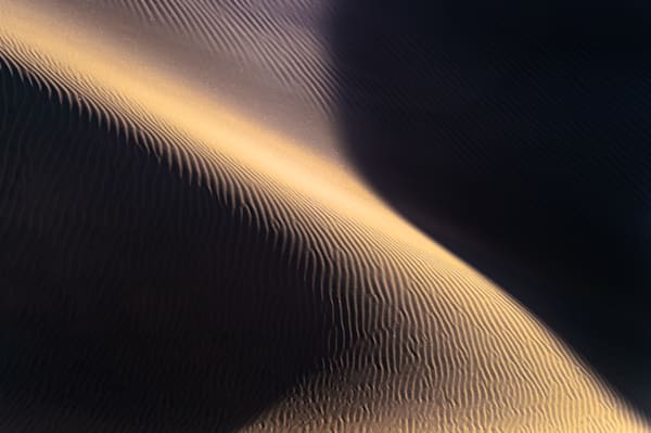 Subtle Form - Decorative image focused on texture and simplicity
