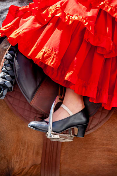 Passion in Red - Detail of flamenco dance with dynamic composition