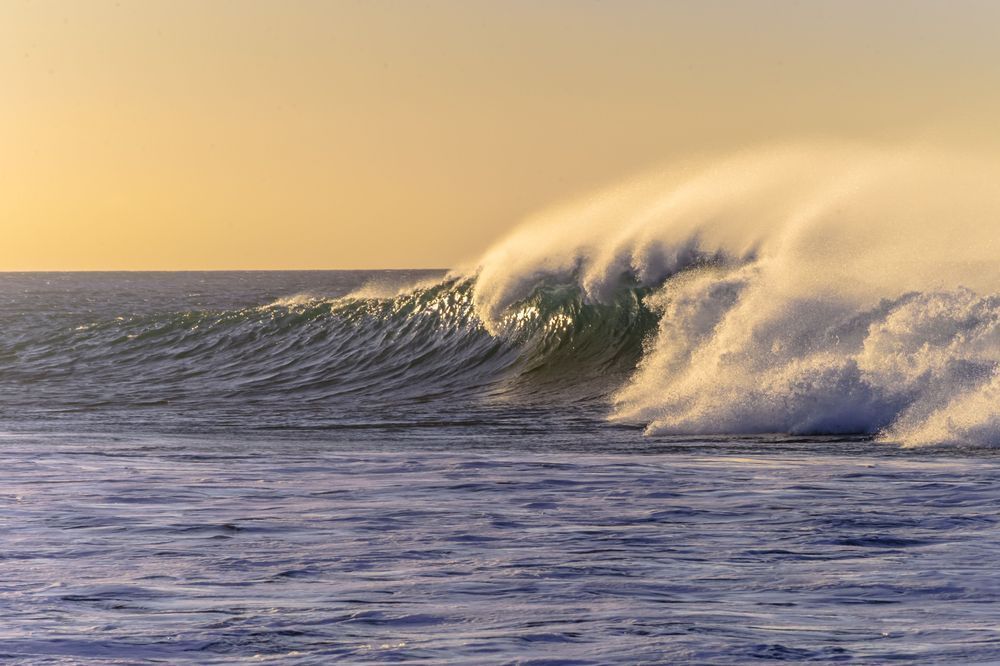 Wave in Gold - Coastal wall art with dynamic water and soft morning light