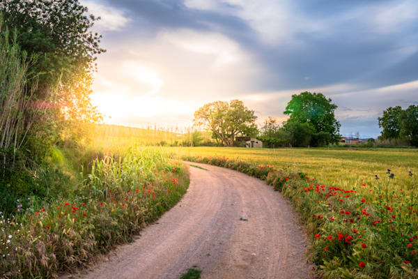 Where Time Grows - Scenic image of fields cultivated since Greek and Roman times