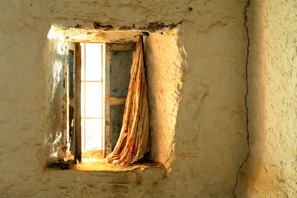 Window to the past
