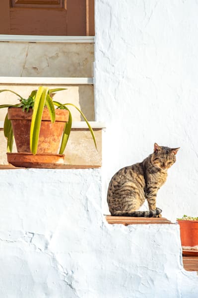 Taking sun bath - Minimal lifestyle image with calm atmosphere