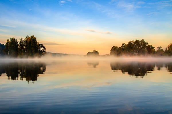 The Morning Water - Wetland scene with mirror reflections and atmospheric depth