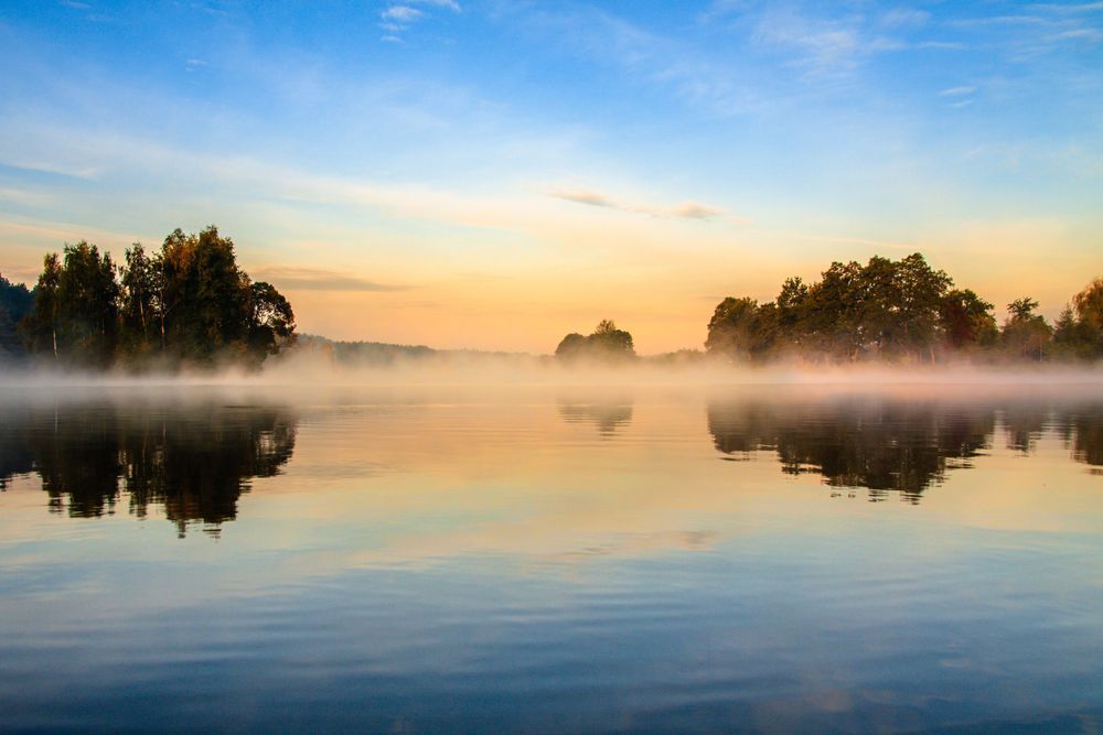 The Morning Water - Wetland scene with mirror reflections and atmospheric depth