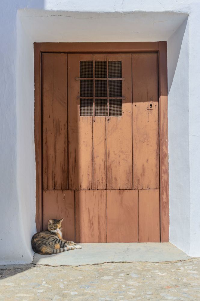 The Door Guardian - Mediterranean lifestyle image with texture, light, and quiet emotion