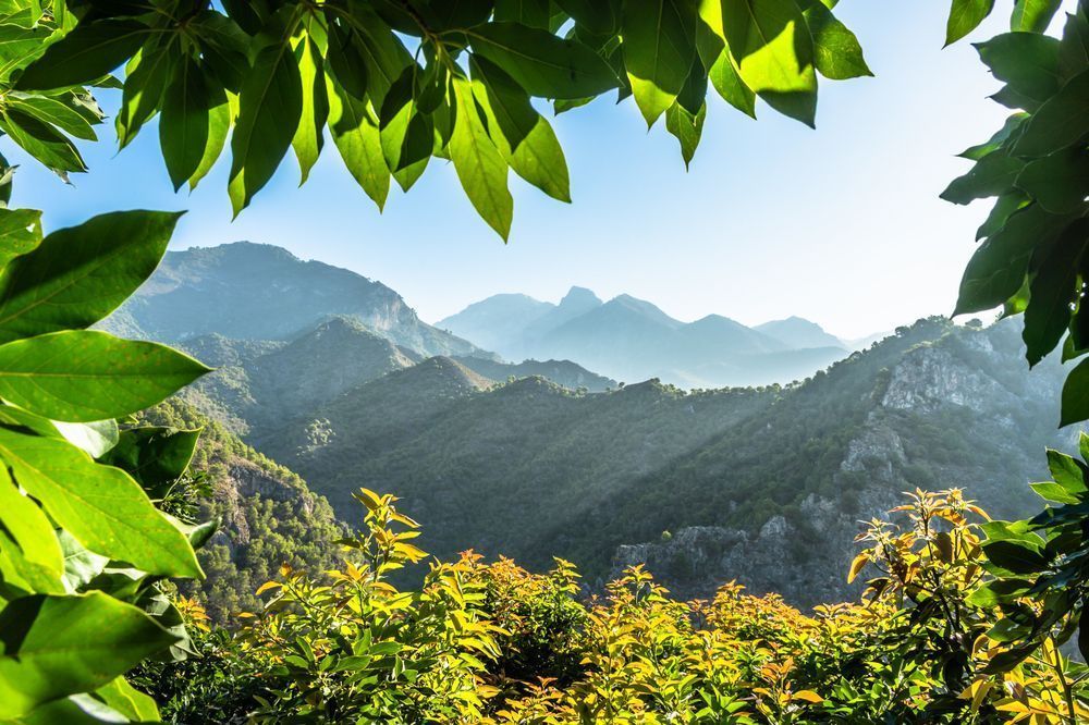The Andalusian Landscape - andscape capturing the wild side of southern Spain