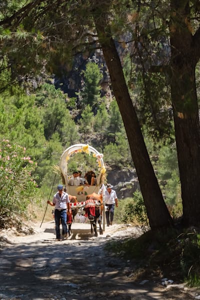 The Andalusian Journey - Horse carriage with people on the way to a flamenco gathering