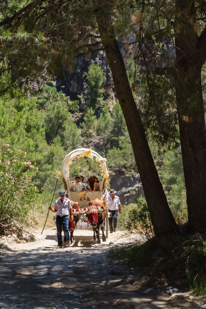 The Andalusian Journey - Horse carriage with people on the way to a flamenco gathering