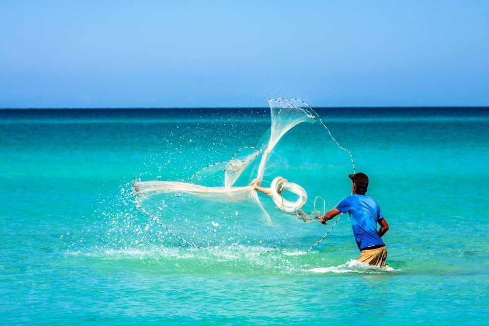 The Cast - Coastal lifestyle image with vibrant colors and action