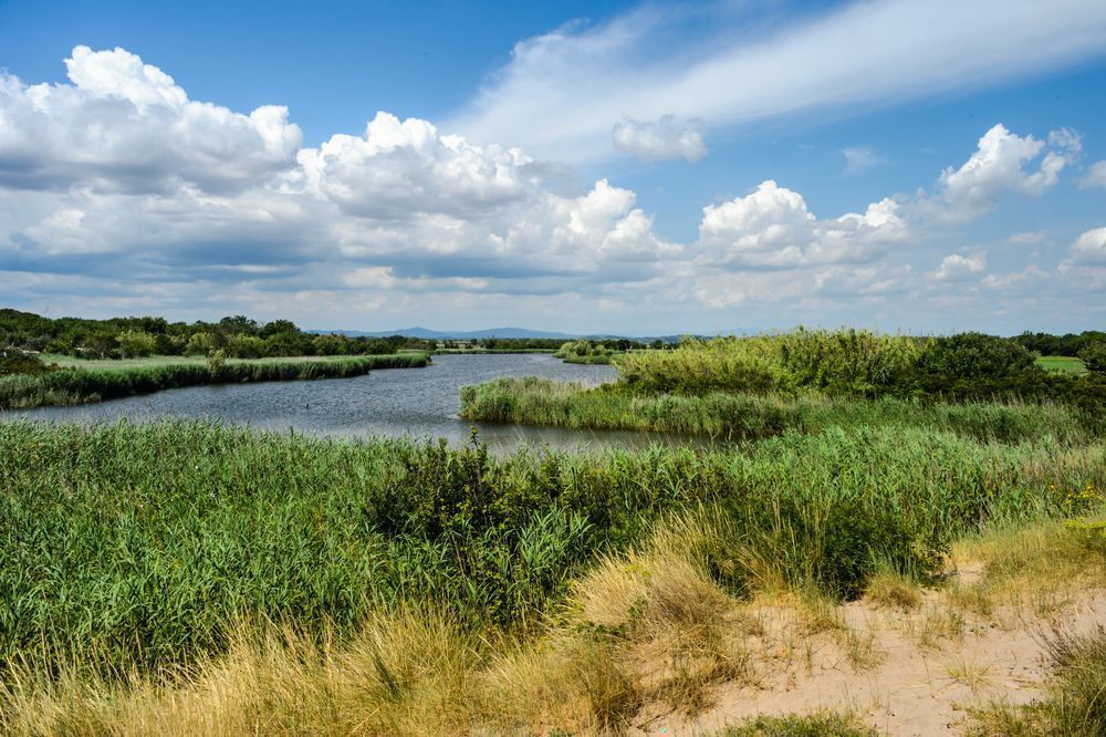 The Ter Plains - Landscape where small rivers form quiet lakes near the coast
