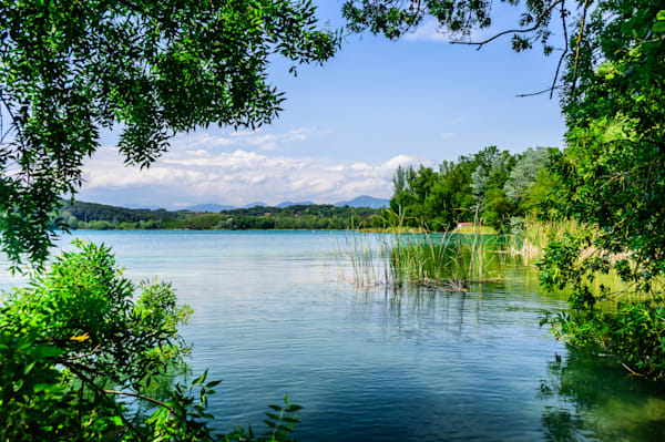 The Quiet Lake - Scenic lake landscape with rich vegetation and light