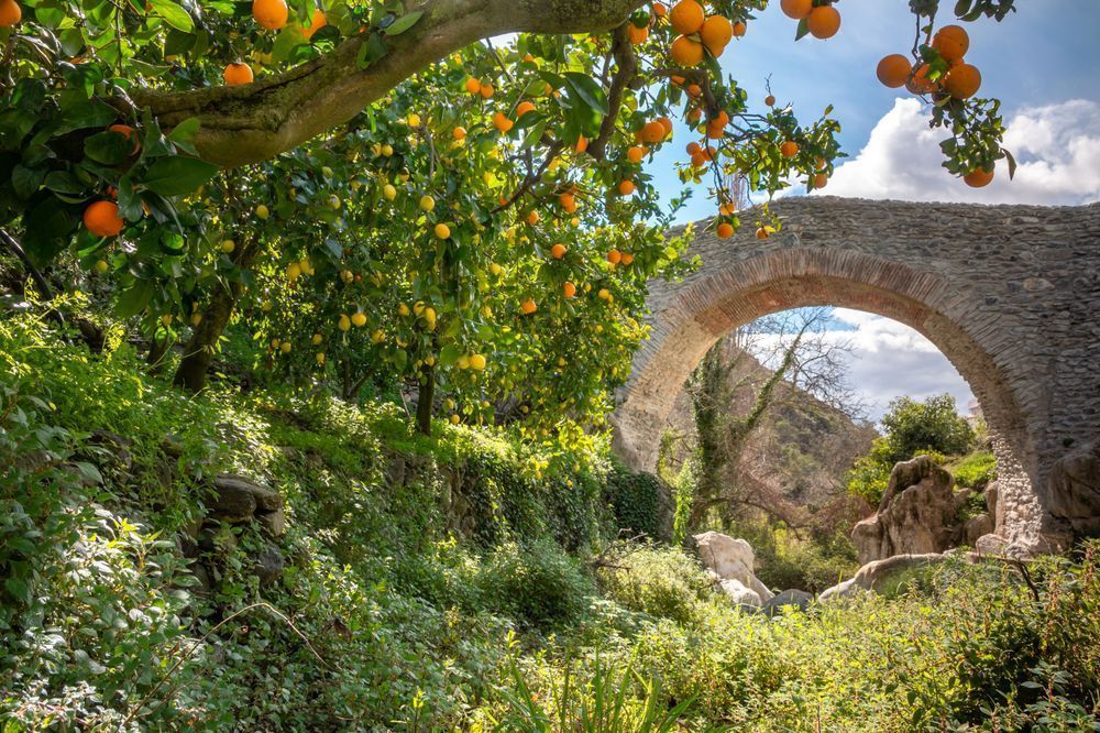 Under the Old Arch - Antique stone bridge framed by an orange tree in Mediterranean light