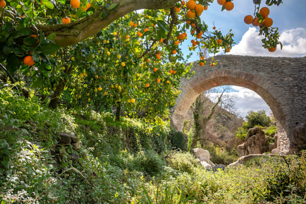Under the Old Arch - Antique stone bridge framed by an orange tree in Mediterranean light