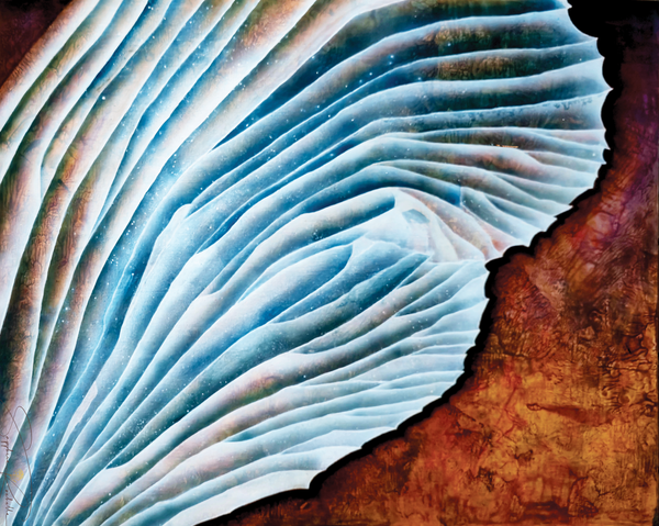 Fungi