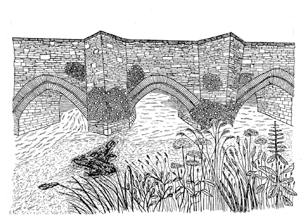 Fine Art Prints