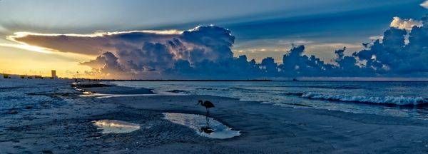 Heron at Sunrise