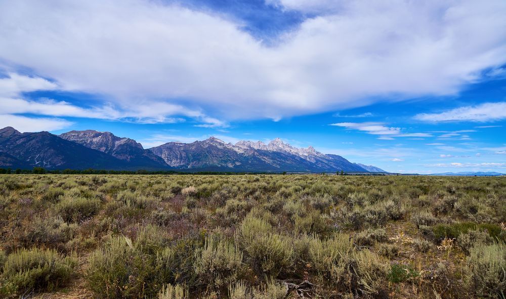 A Grand Teton View Photography Art | stuartPhoto