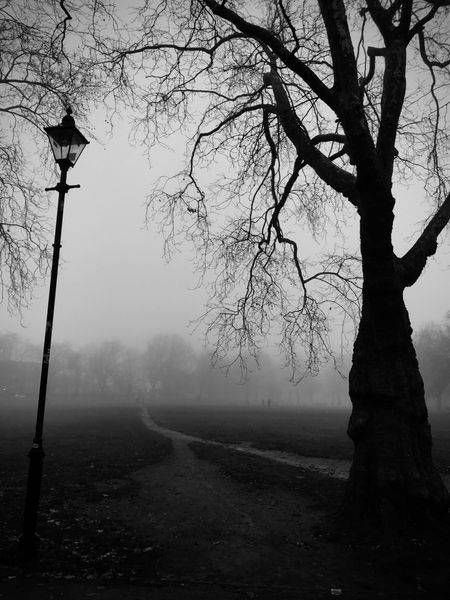 Misty Morning Ii Photography Art | Henry Gush Photography
