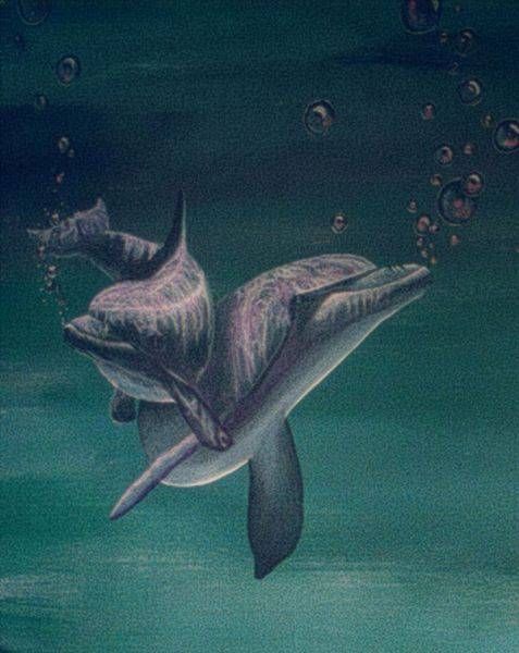 Dolphin Duo Enhanced Art | A Stoke Of Brush