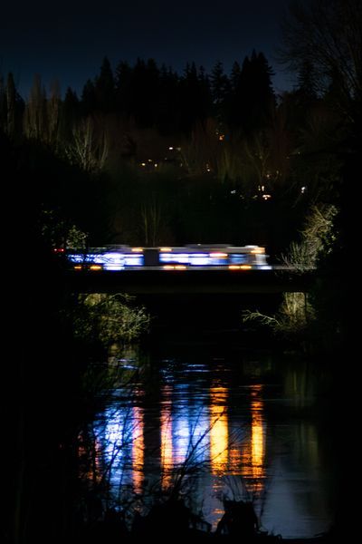 Night Lights
