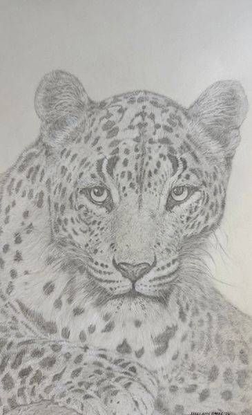 Graphite And Charcoal Drawings