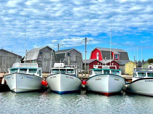 Boats