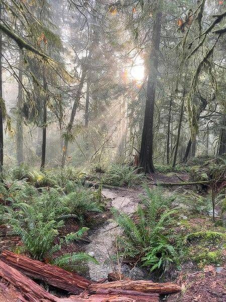 Nature
