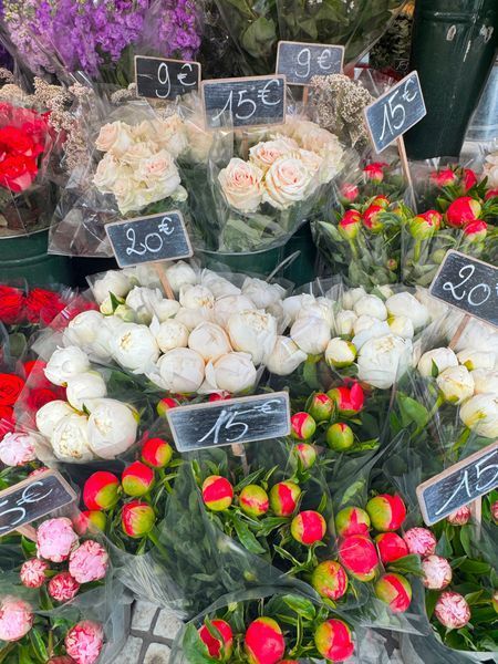 Floral Moments