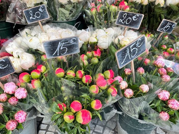 Floral Moments