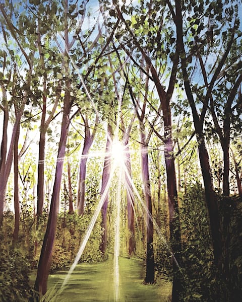 HOPE  beams of light through trees