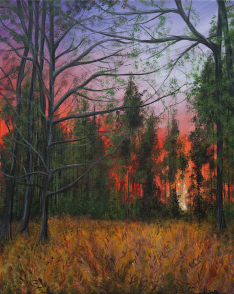 EVOCATIVE WOODLANDS