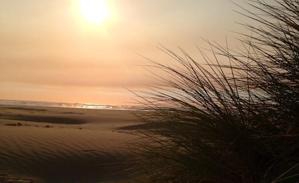 Serene Landscapes