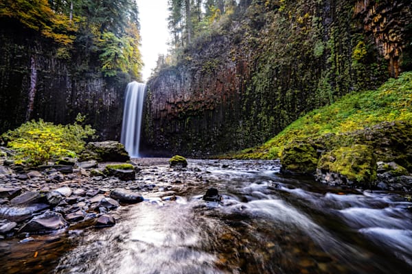 Signature Collection