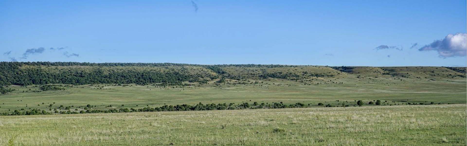 
        <div class='title'>
          Test Panorama
        </div>
       
        <div class='description'>
          
        </div>
      