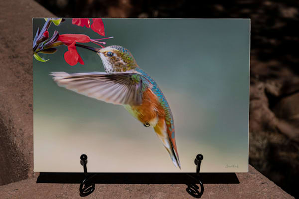 Images on Canvas Boards