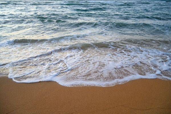 The Shore’s Edge