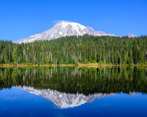 Pacific Northwest
