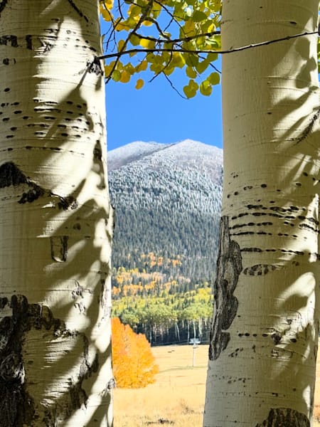 A Window to the Peaks