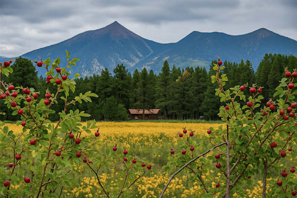 Rustic Haven in the Valley