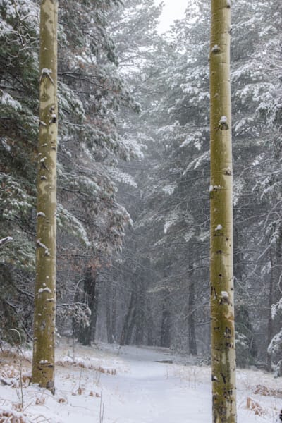 Winter Passage