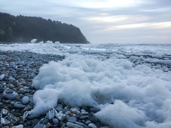The Frothing Shore