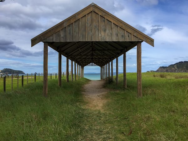 The Path to the Sea