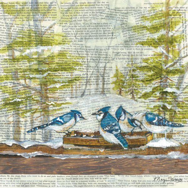 Birds
